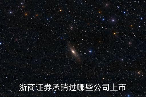 浙商證券承銷過哪些公司上市
