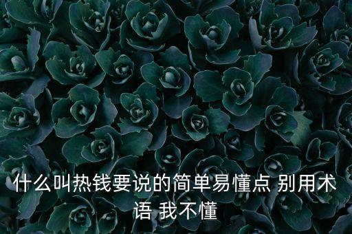 什么叫熱錢要說的簡單易懂點 別用術(shù)語 我不懂