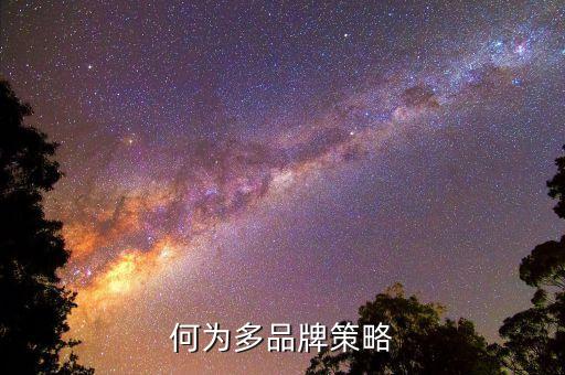 什么是多策略，何為多品牌策略