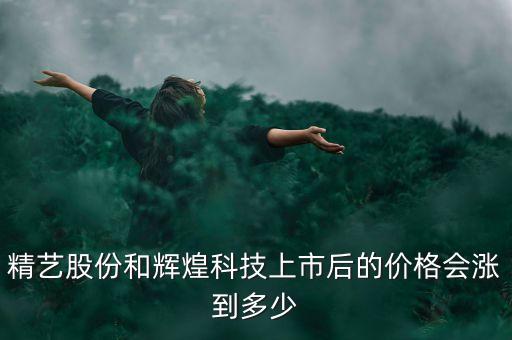 精藝股份是什么公司，精藝股份董事長是誰