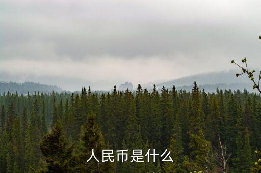 人民幣產(chǎn)品是什么，人民幣是什么東西