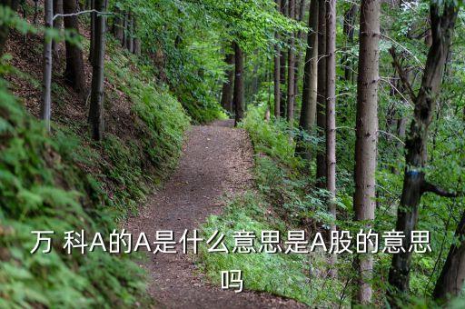 萬科A股什么意思，萬 科A的A是什么意思是A股的意思嗎