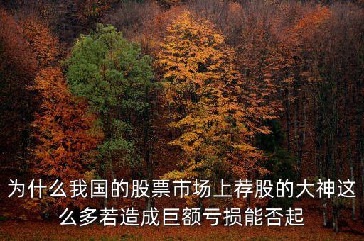 為什么我國的股票市場上薦股的大神這么多若造成巨額虧損能否起