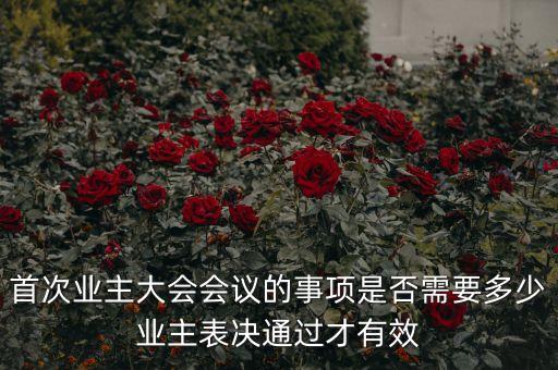 鏈家上海事件是什么，首次業(yè)主大會會議的事項是否需要多少業(yè)主表決通過才有效