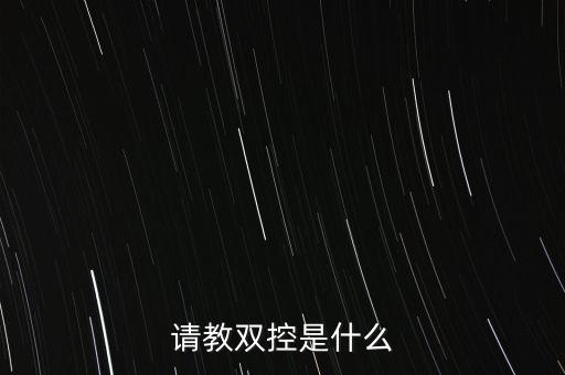 請教雙控是什么