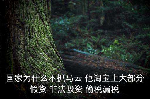 國家為什么不抓馬云 他淘寶上大部分假貨 非法吸資 偷稅漏稅
