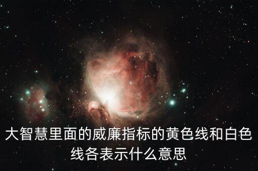 大智慧里面的威廉指標(biāo)的黃色線和白色線各表示什么意思