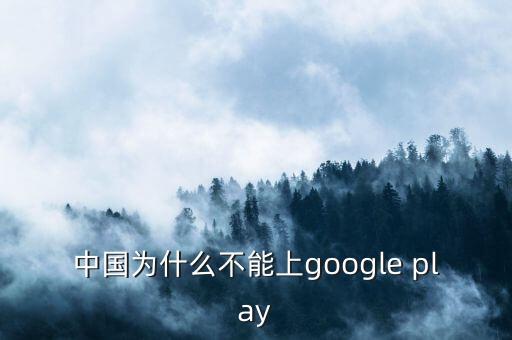 中國(guó)為什么不能上google play