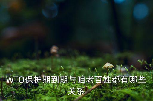 WTO保護(hù)期到期與咱老百姓都有哪些關(guān)系