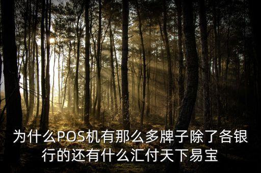 為什么POS機有那么多牌子除了各銀行的還有什么匯付天下易寶