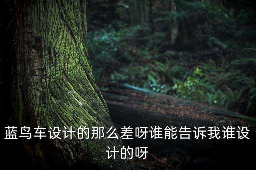 藍(lán)鳥車設(shè)計(jì)的那么差呀誰能告訴我誰設(shè)計(jì)的呀