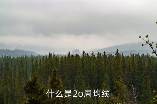 什么是20周均線，想問(wèn)一下股票大盤20周均線是什么點(diǎn)位