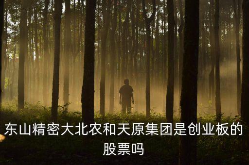 東山精密大北農(nóng)和天原集團(tuán)是創(chuàng)業(yè)板的股票嗎