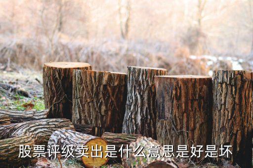 股票沽售評(píng)級(jí)什么意思，請(qǐng)問(wèn)什么是惜售什么是沽售