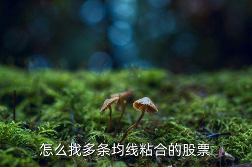 怎么找多條均線(xiàn)粘合的股票