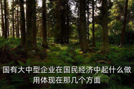 國有大中型企業(yè)在國民經(jīng)濟(jì)中起什么做用體現(xiàn)在那幾個(gè)方面