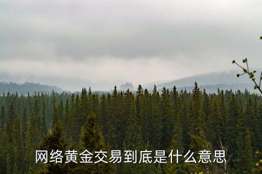 網(wǎng)絡(luò)黃金交易到底是什么意思