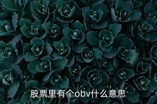 股票里有個(gè)obv什么意思