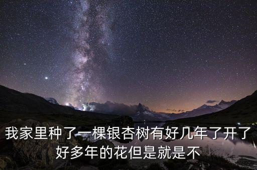 銀杏為什么不能檢出槐角苷，關(guān)于銀杏的一個問題