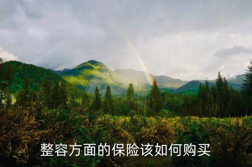 整容方面的保險(xiǎn)該如何購(gòu)買
