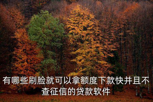 有哪些刷臉就可以拿額度下款快并且不查征信的貸款軟件