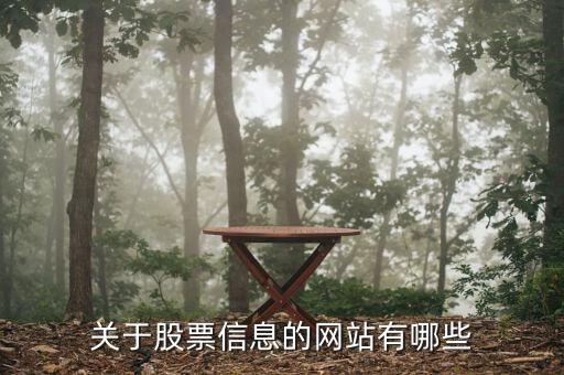 股票信息看什么網(wǎng)站，關(guān)于股票信息的網(wǎng)站有哪些