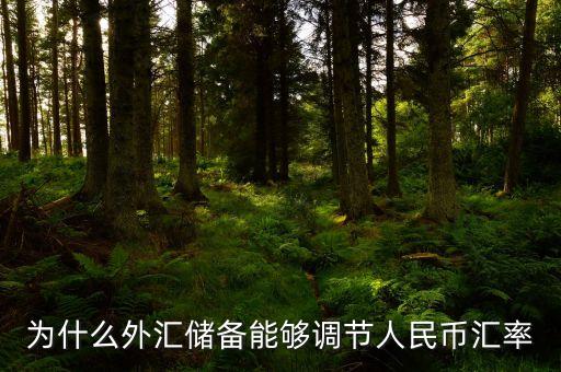 為什么外匯儲備能夠調(diào)節(jié)人民幣匯率