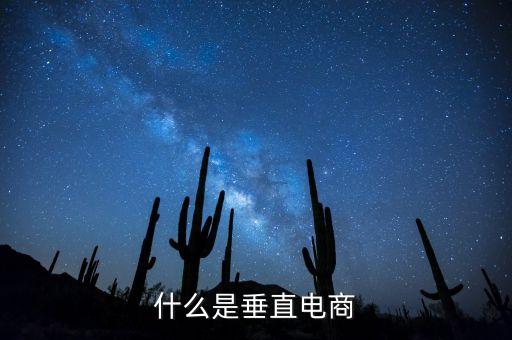什么是垂直電商