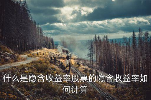 亞普汽車什么時候上市，誰知道隱含收益率是咋的回事的啊