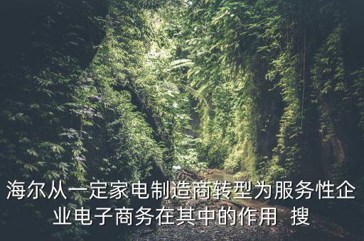 海爾轉(zhuǎn)型做什么了，海爾從一個家電制造業(yè)轉(zhuǎn)型為服務(wù)業(yè)電子商務(wù)的作用是什么