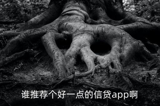 什么app貸款比較好，誰(shuí)推薦個(gè)好一點(diǎn)的信貸app啊