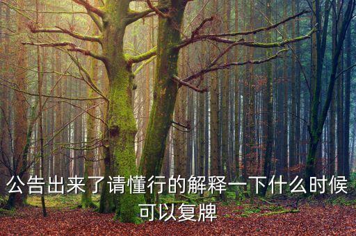 公告出來了請懂行的解釋一下什么時(shí)候可以復(fù)牌