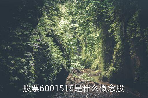 股票6001518是什么概念股