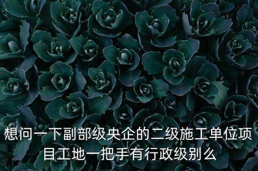 央企二級公司經(jīng)理是什么級別，央企比如移動 電信 聯(lián)通 中石油石化 這些企業(yè)縣的老總是什么級別