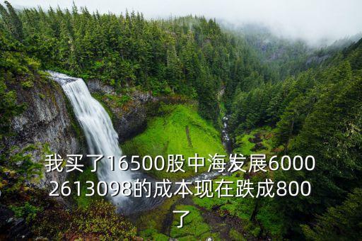 我買了16500股中海發(fā)展60002613098的成本現(xiàn)在跌成800了