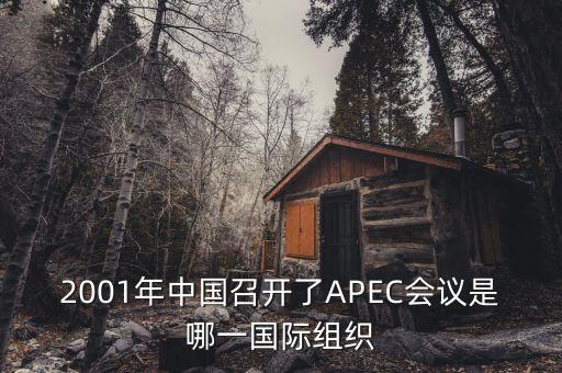 中國(guó)舉行合作論壇首次論壇是什么，論壇是什么