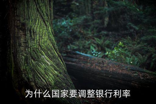 為什么要調整利率，國家為什么調整利率