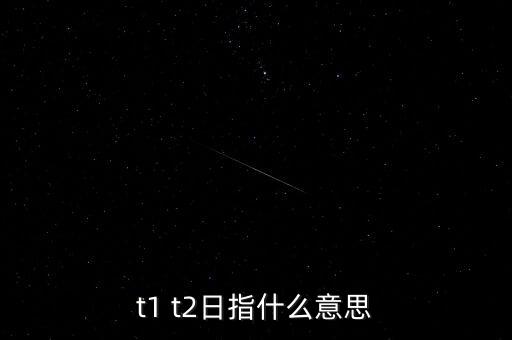 南北車t日是什么意思，t1 t2日指什么意思