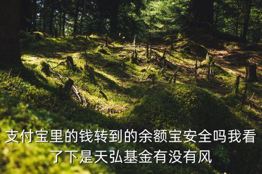 天弘是什么，支付寶里的錢轉(zhuǎn)到的余額寶安全嗎我看了下是天弘基金有沒有風(fēng)