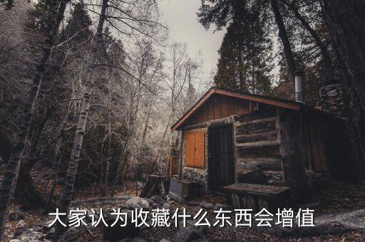 大家認為收藏什么東西會增值