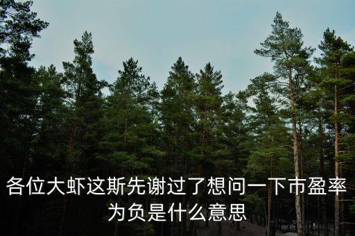 各位大蝦這斯先謝過了想問一下市盈率為負是什么意思