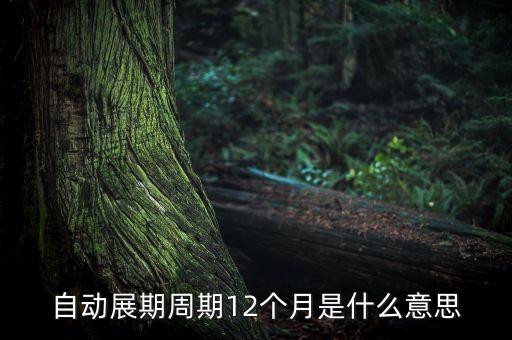 自動(dòng)展期周期12個(gè)月是什么意思