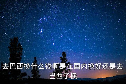 去巴西換什么錢啊是在國內(nèi)換好還是去巴西了換