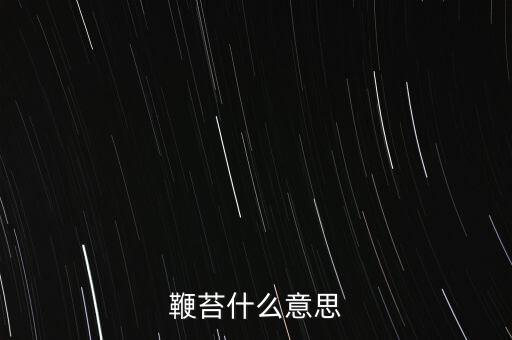 nongaap什么意思，索驥是什么意思