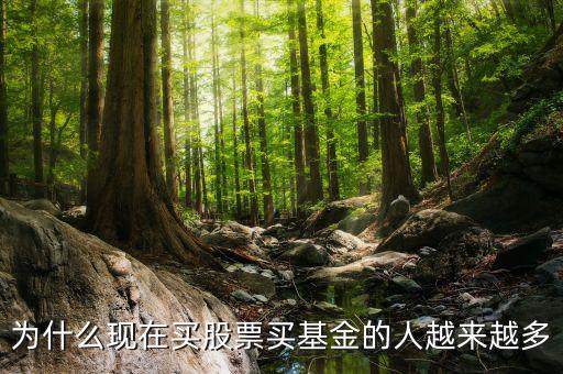 為什么現(xiàn)在買(mǎi)股票買(mǎi)基金的人越來(lái)越多