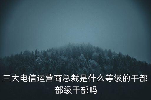 三大電信運(yùn)營(yíng)商總裁是什么等級(jí)的干部 部級(jí)干部嗎