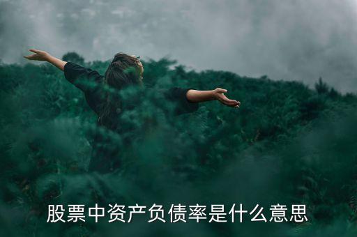 中國負債率什么意思，股票中資產(chǎn)負債率是什么意思
