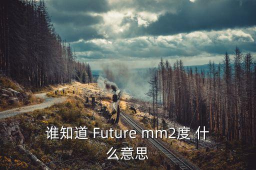 巴黎協(xié)議的2度什么意思，誰知道 Future mm2度 什么意思