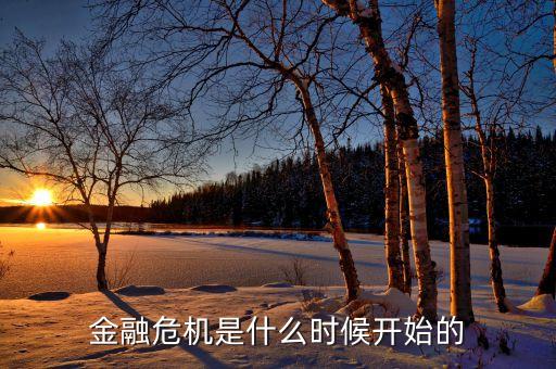 金融危機(jī)是什么時候開始的