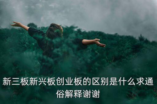 新興板是什么，什么是新興股